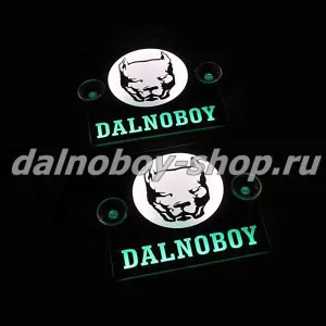 Табличка светящаяся черная 13/15 см. DALNOBOY бел/зел 24v (2шт) двойная
