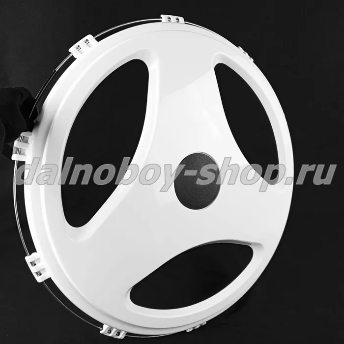 Колпак колеса 22.5 задний ПЛАСТИК " ЛУЧИ"  белый