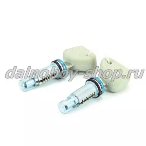 Личинка ручки двери IVECO EURO CARGO -TECH -STRALIS  2 лич -2 кл