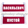 Вымпел "Пустой - ВАСИЛЬЕВИЧ" 10*25 см красный