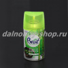 Ароматизатор аэрозольный авт."BRAIT" TROPICAL ESSENSE (зеленый) 250ml