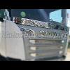 Защита INOX лобового стекла SCANIA R 2004-2016 (перфорация)