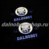 Табличка светящаяся черная 13/15 см. DALNOBOY бел/син 24v (2шт) двойная