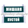 Вымпел "Пустой - МИШАНЯ" 10*25 см зеленый