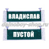 Вымпел "Пустой - ВЛАДИСЛАВ" 10*25 см зеленый