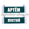 Вымпел "Пустой - АРТЕМ" 10*25 см зеленый