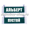 Вымпел "Пустой - АЛЬБЕРТ" 10*25 см зеленый