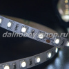 Лента  5м диодная белая 24v / PCB-5050-300SMD